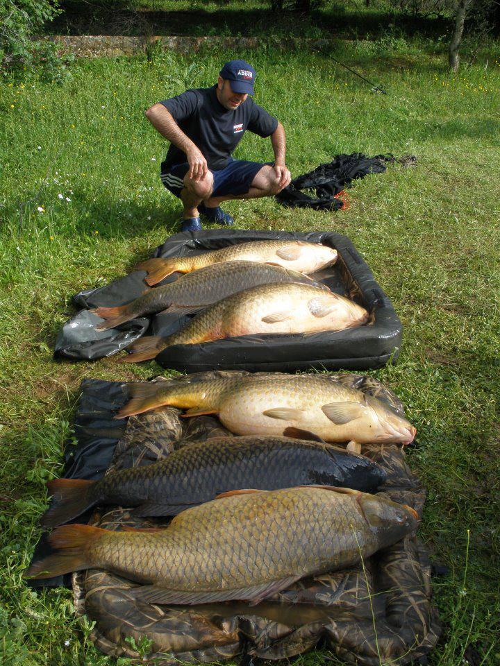 asa da - crapiiiiii.jpg